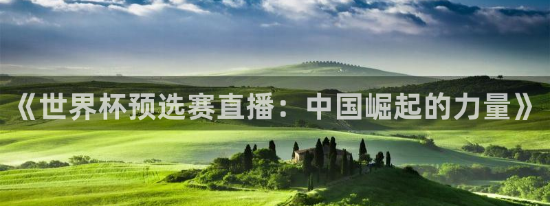 世界杯预选赛赛程表：《世界杯预选赛直播：中国崛起的力量》