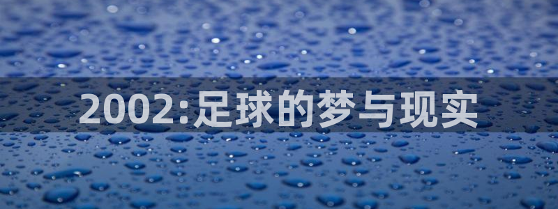 世界杯 赛程：2002:足球的梦与现实