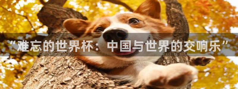 世界杯预选赛排名：“难忘的世界杯：中国与世界的交响乐”