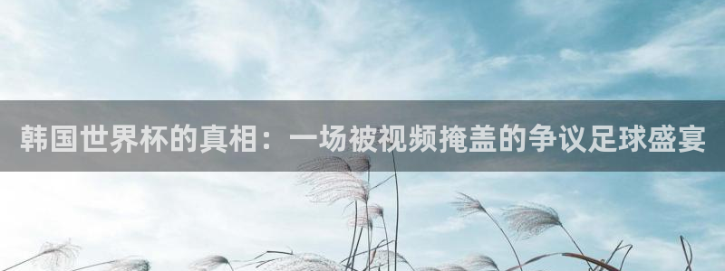 世界杯直播免费观看：韩国世界杯的真相：一场被视频掩盖的争议足球盛宴