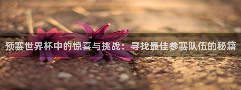 2026世预赛赛程：预赛世界杯中的惊喜与挑战：寻找最佳参赛队伍的秘籍