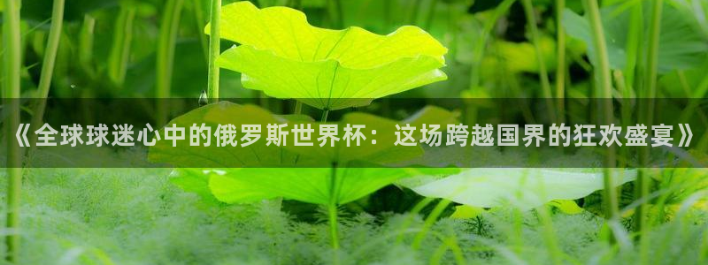 世界杯官网：《全球球迷心中的俄罗斯世界杯：这场跨越国界的狂欢盛宴》