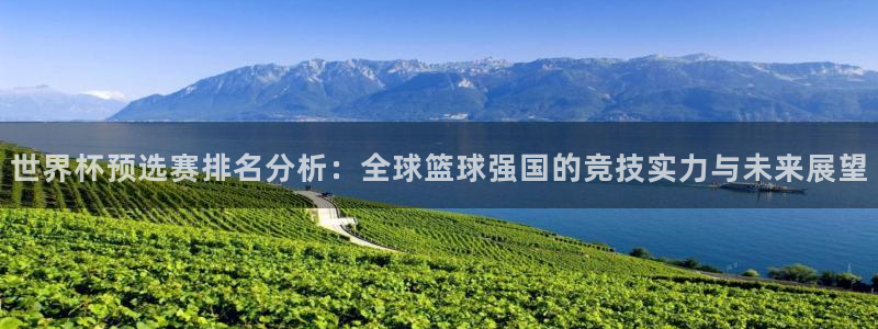 足球杯：世界杯预选赛排名分析：全球篮球强国的竞技实力与未来展望