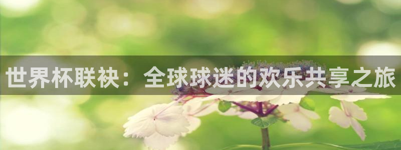 亚洲杯足球：世界杯联袂：全球球迷的欢乐共享之旅