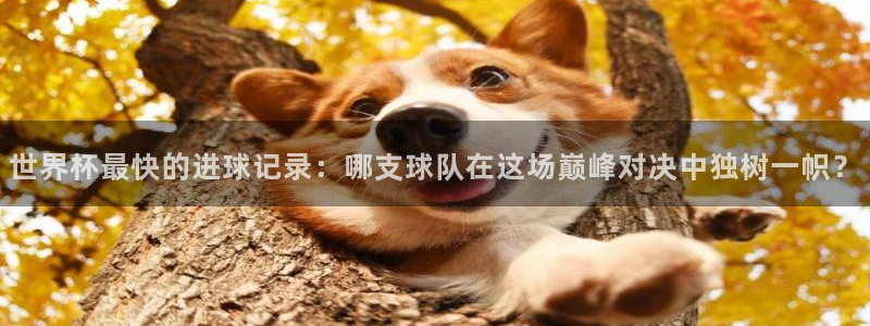 2026世界杯：世界杯最快的进球记录：哪支球队在这场巅峰对决中独树一帜？