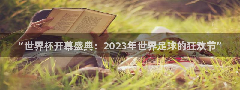 男足世界杯预选赛赛程：“世界杯开幕盛典：2023年世界足球的狂欢节”