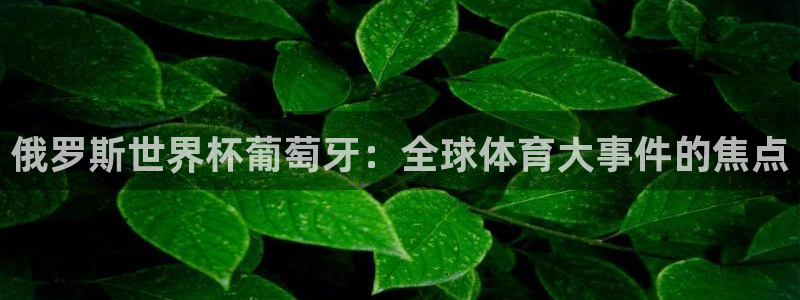 世界杯亚洲区预选赛：俄罗斯世界杯葡萄牙：全球体育大事件的焦点