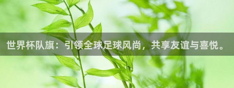 世界杯：世界杯队旗：引领全球足球风尚，共享友谊与喜悦。