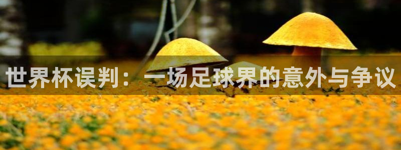 世界杯赛程2026：世界杯误判：一场足球界的意外与争议