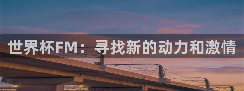 世界杯赛程时间表：世界杯FM：寻找新的动力和激情