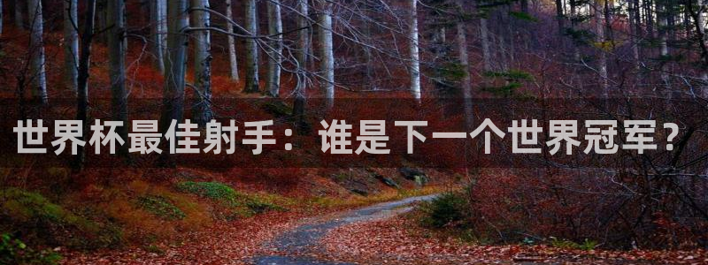 2026年足球世界杯赛程时间表：世界杯最佳射手：谁是下一个世界冠军？
