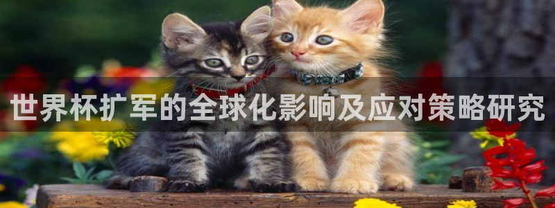 2026年世界杯赛程表时间：世界杯扩军的全球化影响及应对策略研究