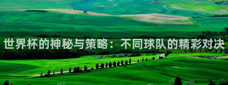 亚洲杯足球：世界杯的神秘与策略：不同球队的精彩对决