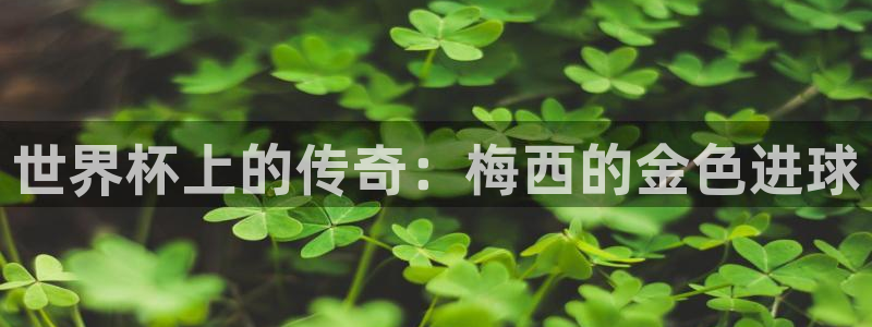 2026世界杯中国队：世界杯上的传奇：梅西的金色进球